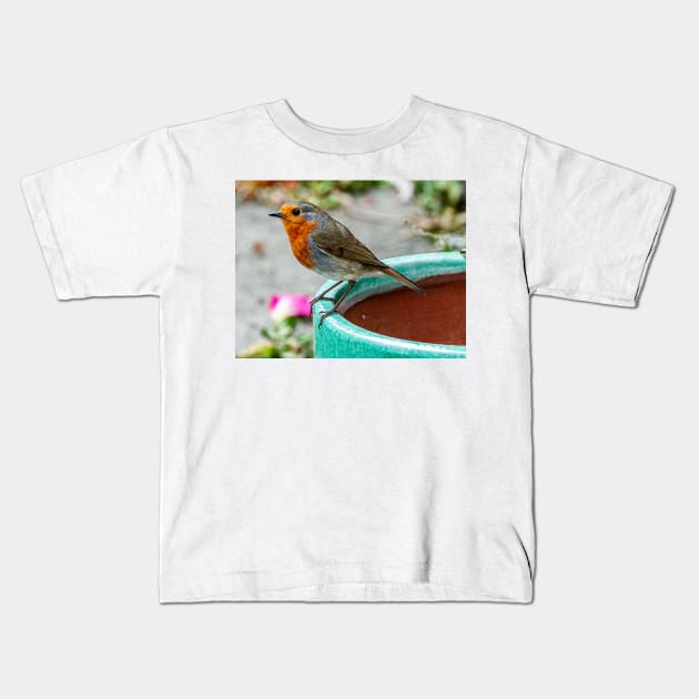 Robin Red Breast Bird Photography Poster Kids T-Shirt by madein1874